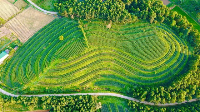 Phát triển kinh tế ở xã miền núi Sơn Kim 2